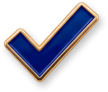 Clean Sweep badge